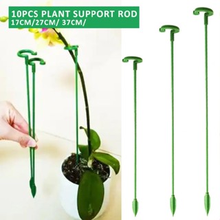 New 10pcs Single Stem Plant Support Rod Potted Flower Stand Bracket Holder