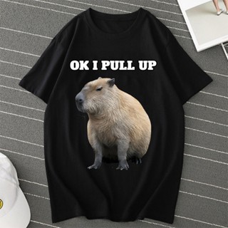 เสื้อยืดแขนสั้น พิมพ์ลาย Ok I Pull Up Capybaras สไตล์สตรีท สําหรับผู้ชาย