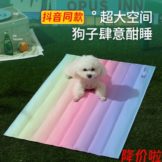 [Fluffy Pet] พร้อมส่ง แผ่นเสื่อรองนอน ทําความเย็น เหมาะกับฤดูร้อน สําหรับสัตว์เลี้ยง สุนัข แมว