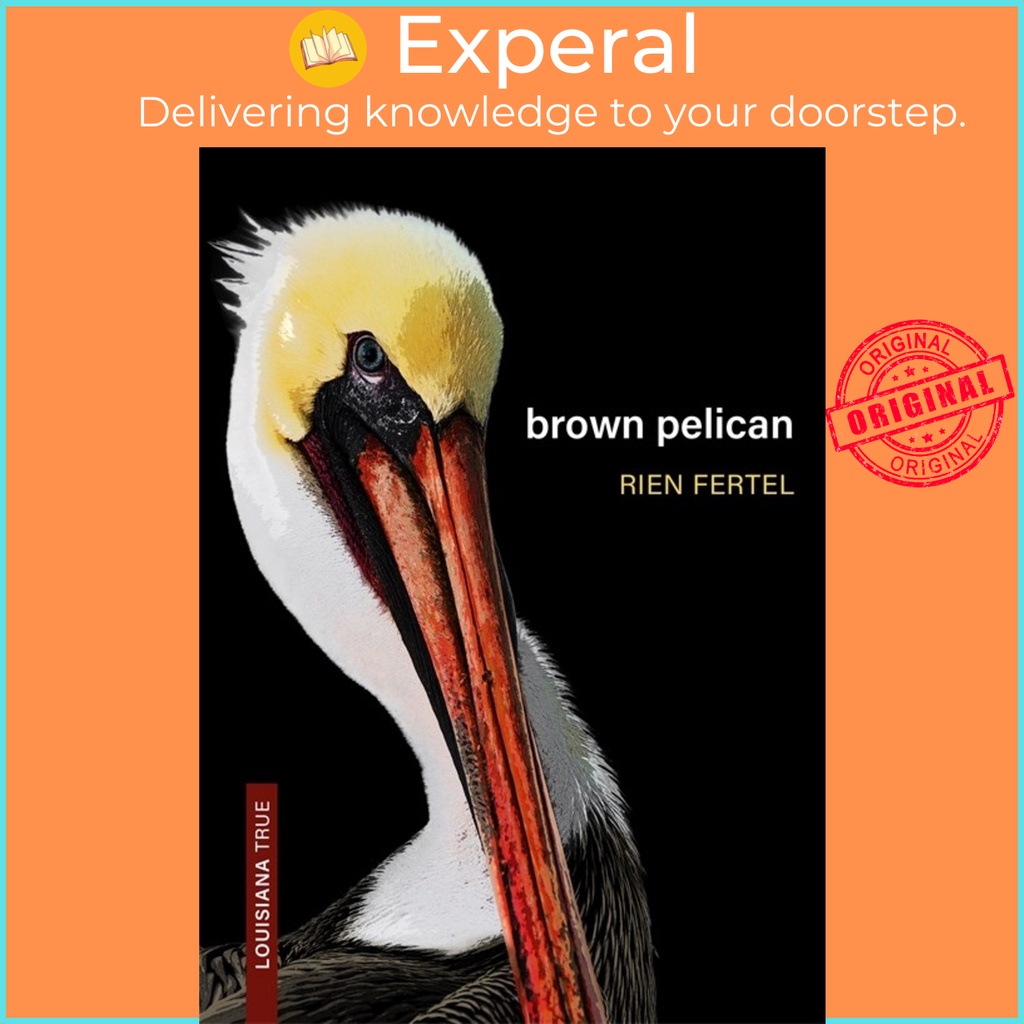 Brown Pelican by Rien Fertel (ฉบับสหรัฐอเมริกาปกอ่อน)