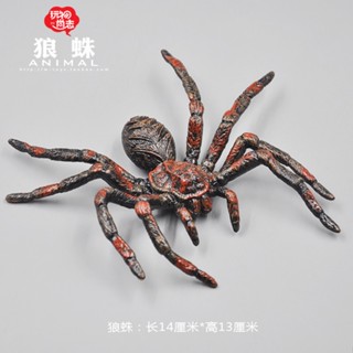 [ลดราคา] โมเดลสัตว์ Tarantula