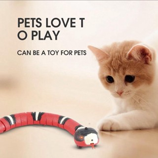 DreamCradle Interactive Cat Toy Smart Sensing ของเล่นอิเล็กทรอนิกส์งูจำลองสัตว์จำลองสำหรับการฝึกสัตว์เลี้ยง