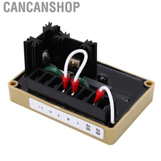 Cancanshop Electric Automatic Voltage Regulator High Fusing Force Electric AVR for Self Excited Brushless Generator Voltage