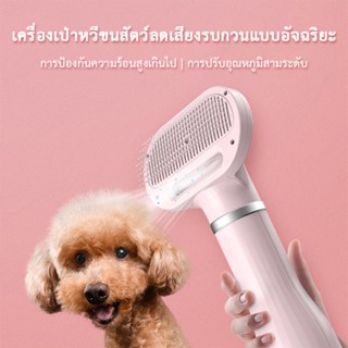 เป่า จัดทรงขนสัตว์ ใช้เครื่องเดียวก็พอ