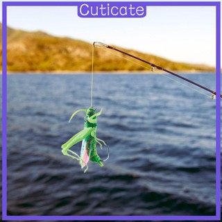 [CUTICATE] บัวไบโอนิค ลายทาง สีขาว สําหรับปลาแมนดาริน