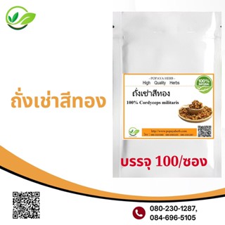 Popaya Cordyceps ถั่งเช่า /ตงถงเซี่ยเฉ่า  ผงเเท้ 100% บรรจุ 100 C.