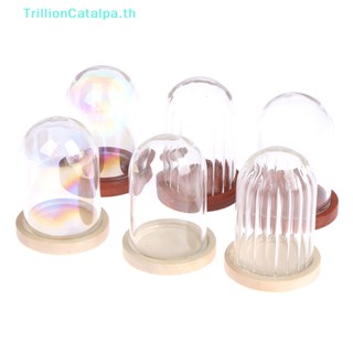 Trillioncatalpa ชุดเครื่องครัวจิ๋ว สําหรับตกแต่งบ้านตุ๊กตา