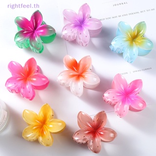 Rightfeel.th ใหม่ กิ๊บติดผม ลายดอกไม้น่ารัก แฟชั่น สําหรับผู้หญิง Frangipani