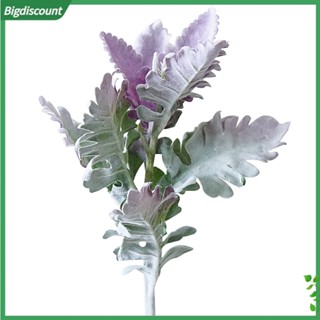 {BIG} พืชปลอม Senecio Cineraria DIY สําหรับตกแต่งบ้าน ออฟฟิศ 1 ชิ้น