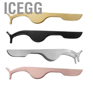 Icegg Eyelash Applicator Tool  Auxiliary Portable Stainless Steel Sturdy Multipurpose for Girls Home