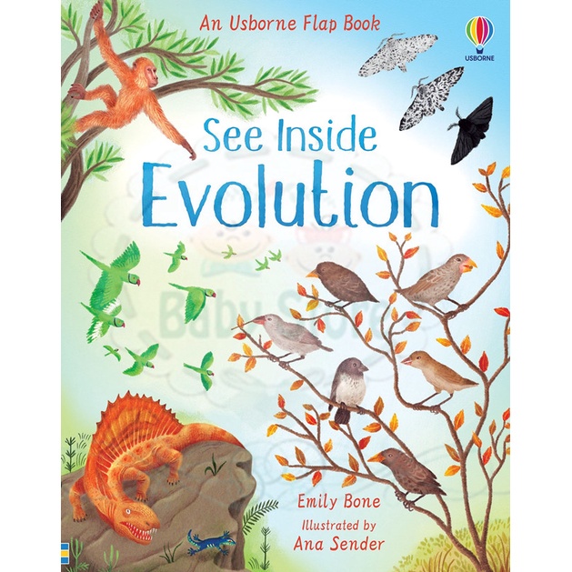 Usborne ดูภายใน Evolution Emily Bone USBORNE FLAP BOOK