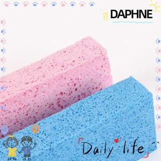 Daphne ฟองน้ําดูดซับน้ํา สําหรับวาดภาพระบายสี