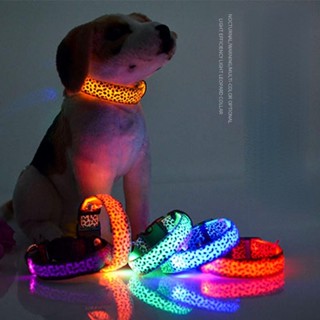 [Fluffy Pet] พร้อมส่ง ปลอกคอเรืองแสง LED สามารถปรับได้ เพื่อความปลอดภัย สีทอง สําหรับสัตว์เลี้ยง สุนัข แมว