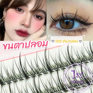 ขนตาปลอม ขนตาปลอมแต่งหน้ามืออาชีพ 120 ช่อ ช่อคนตาเทรนสาวเวียดนาม  Little devil false eyelashes