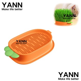 Yann1 กล่องหญ้า รูปแครอทน่ารัก สําหรับสัตว์เลี้ยง แมว ไฮโดรโปนิก ผู้ใหญ่