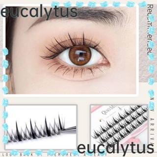 Eucalytus1 ขนตาปลอม คลัสเตอร์เดี่ยว หนาแน่น สําหรับแต่งหน้า