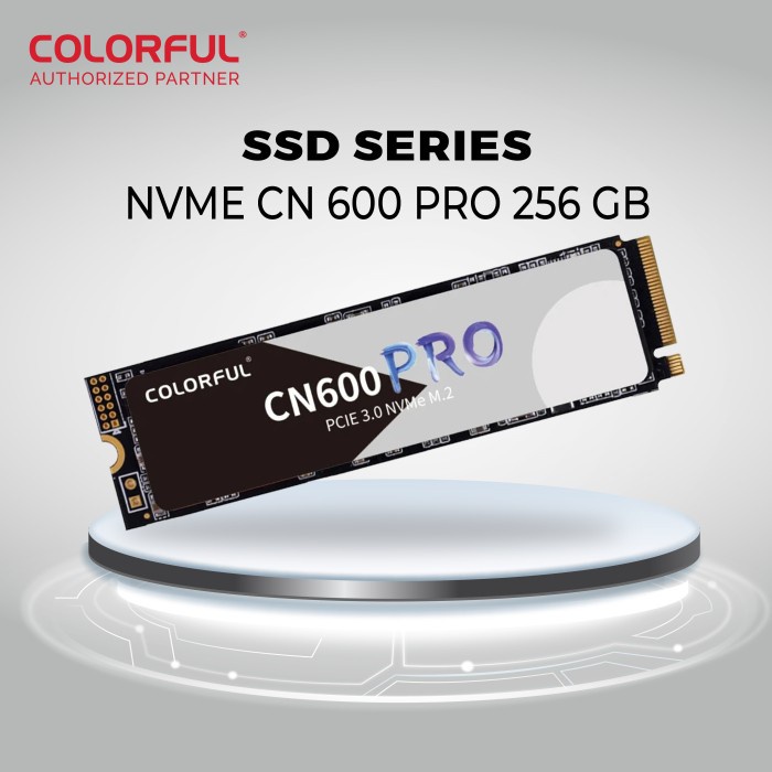 SSD CN600 PRO 256GB M.2 NVME สีสันสดใส