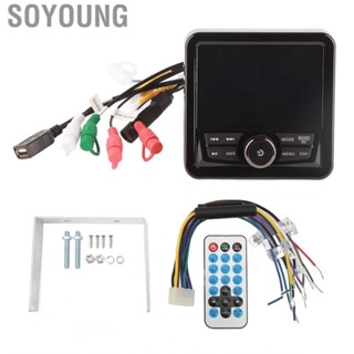 Soyoung Media Receiver Marine Boat  Car Stereo MP3 MP5