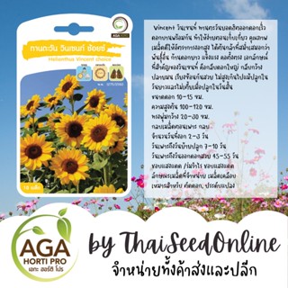 AGAPREMIUM Vincent วินเซนท์ ทานตะวัน 10เมล็ด ตราเอกะอะโกร Sunflower