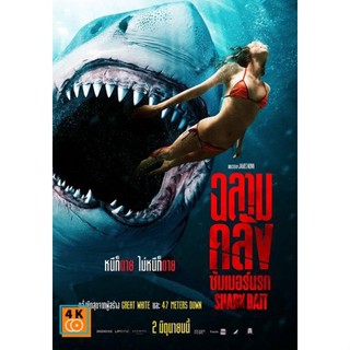 หนัง DVD ออก ใหม่ ฉลามคลั่ง ซัมเมอร์นรก Shark Bait (2022) (เสียง ไทย /อังกฤษ | ซับ ไทย/อังกฤษ) DVD ดีวีดี หนังใหม่