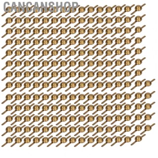 Cancanshop Upholstery Tacks  Premium Metal Decorative Nail Heads  for Clothes