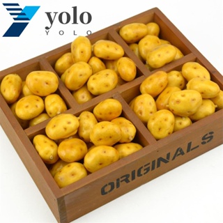 YOLO โมเดลมันฝรั่งปลอม เหมือนจริง สําหรับตกแต่งบ้าน งานแต่งงาน 20 ชิ้น