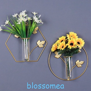 Blossomea แจกันไฮโดรโปนิก หรูหรา สไตล์นอร์ดิก สําหรับตกแต่งผนัง