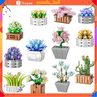 ขายดี บล็อกตัวต่อ รูปต้นกระบองเพชร ดอกไม้ ของขวัญวันเกิด DIY สําหรับตกแต่งโต๊ะ 2023