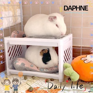 Daphne เตียงนอน ขนาดเล็ก สําหรับสัตว์เลี้ยง หมูตะเภา