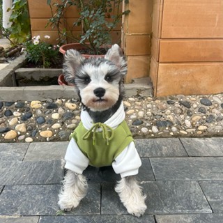 Schnauzer เสื้อกันหนาว ผ้าฝ้าย แบบหนา สําหรับสัตว์เลี้ยง สุนัข แมว