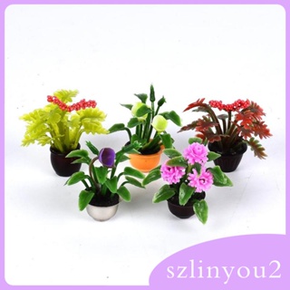 [szlinyou2] โมเดลกระถางดอกไม้จิ๋ว สเกล 1:20 สําหรับตกแต่งบ้านตุ๊กตา สวน 5 ชิ้น