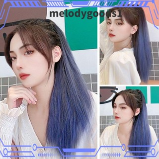 Melodygoods1 วิกผมยาวตรง ทนความร้อน เปลี่ยนสีได้