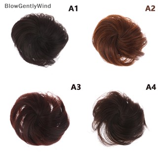 Blowgentlywind กิ๊บติดผมสังเคราะห์ ทนความร้อน BGW