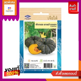 เมล็ดพันธุ์ผัก ฟักทองPUMKIN