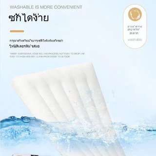 [Ten Beans] หมอนผ้าฝ้ายแท้ แบบนิ่ม บางพิเศษ สําหรับผู้ใหญ่ และเด็กนักเรียนหญิง30*50cm/40*60cm/48*74cm