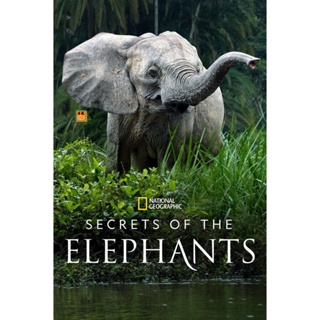 หนัง DVD ออก ใหม่ Secrets of the Elephants (2023) 4 ตอน (เสียง อังกฤษ | ซับ ไทย(ฝัง)) DVD ดีวีดี หนังใหม่