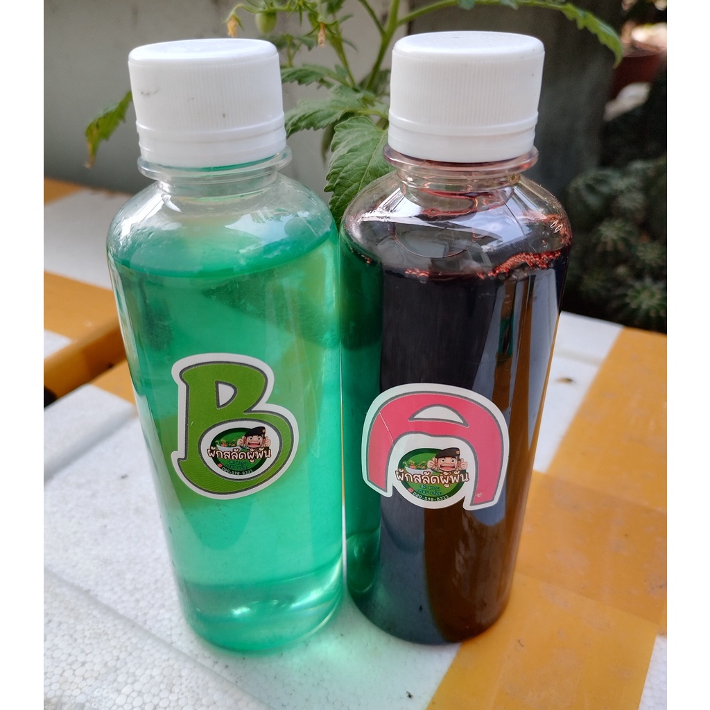 ปุ๋ยไฮโดรโปนิกส์  A B ขนาดบรรจุ 200 cc ความเข้มข้น 1:200 ( 1 ลิตรละลายน้ำได้ 200 ลิตร) ใช้ได้ทั้งน้ำนิ่งและน้ำวน