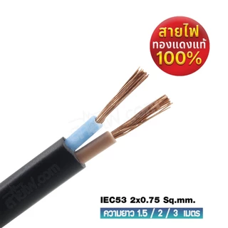 สายไฟพร้อมปลั๊ก สายปลั๊กทีวี มอก.งอ ไม่มีกราวด์ 2x0.75 Sq.mm.