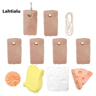 Lahtialu 11 ชิ้น / เซต ฟันกราม เจียร หินทําความสะอาด สุนัข หนูแฮมสเตอร์ ของเล่นเคี้ยว อุปกรณ์สัตว์เลี้ยง