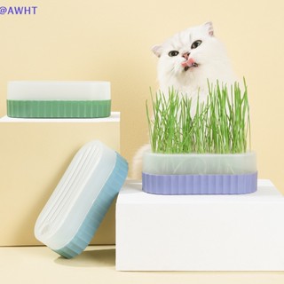 Awht กล่องหญ้าเทียม สีตัดกัน สําหรับแมว
