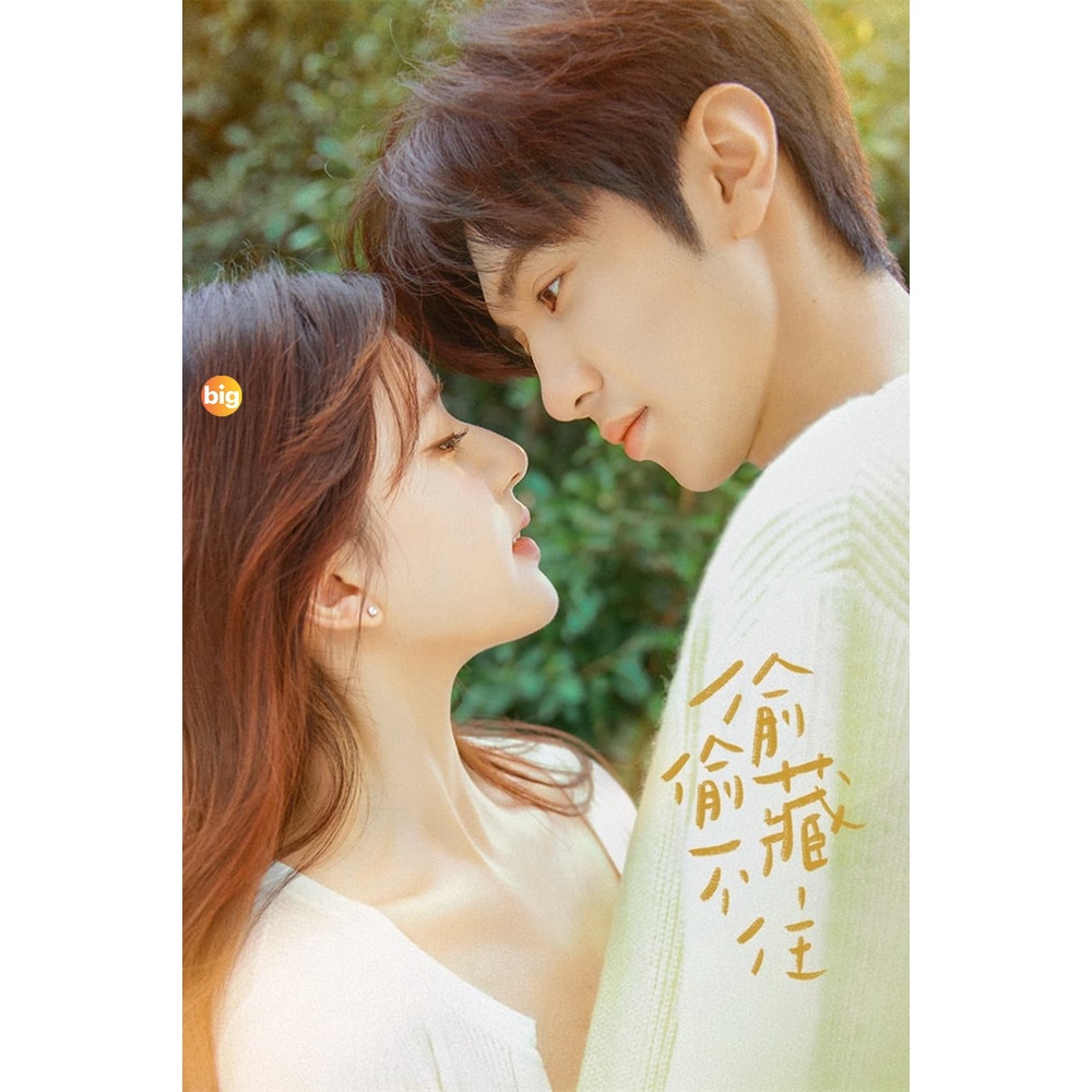 แผ่น DVD หนังใหม่ Hidden Love (2023) แอบรักให้เธอรู้ [25 ตอนจบ+ตอนพิเศษ] (เสียง จีน | ซับ ไทย) หนัง 