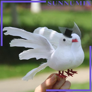 [Sunnimix] โมเดลนกพิราบจําลอง เหมือนจริง สําหรับตกแต่งบ้าน งานฝีมือ DIY