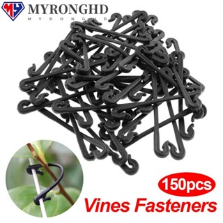 Myronghd 150 ชิ้น Vines Fasteners บ้านสวน Fixing Ring Twist Ties สวนพืชหัวเข็มขัด