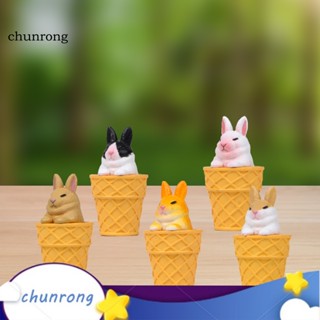 Chunrong โมเดลไอศกรีมจําลอง สวยหรู ของเล่น สําหรับตกแต่งบ้าน ขนมหวาน 5 ชิ้น