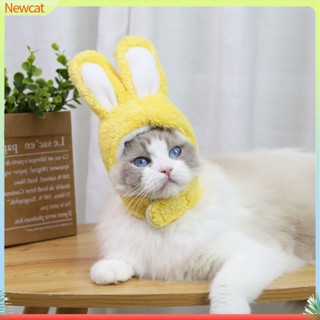 {Newcat} หมวกสัตว์เลี้ยง ระบายอากาศ ยืดหยุ่น รูปกระต่ายน่ารัก สําหรับชีวิตประจําวัน