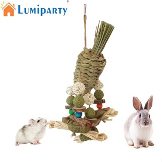 Lumiparty ของเล่นลูกบอลหวาย สําหรับหนูแฮมสเตอร์ ชินชีล่า