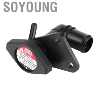 Soyoung Radiator Water Filler Assembly  19050‑RNB‑A01 Black