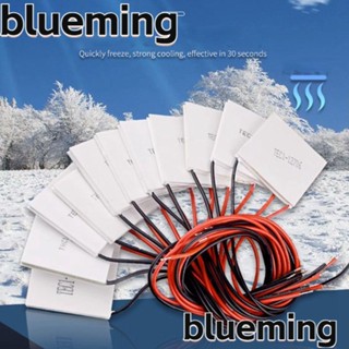 Blueming2 แผ่นทําความเย็นเทอร์โมอิเล็กทริก TEC1-04904 TEC1-04905 TEC1-04906 3 รูปแบบ 20x20 มม.