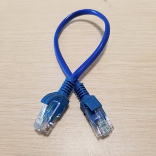 สายเคเบิลเครือข่ายอีเธอร์เน็ต RJ-45 RJ45 Male to Male CAT5 20 ซม.