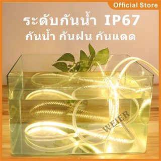 ให้ความสว่าง ไฟเส้น  LED Strip light 220V ไฟสายยางท่อแบน ไฟท่อ ไฟแถบเดี่ยว กันน้ำ ไฟประดับตกแต่ง ไฟตกแต่งบ้าน ไฟแถบ ทน